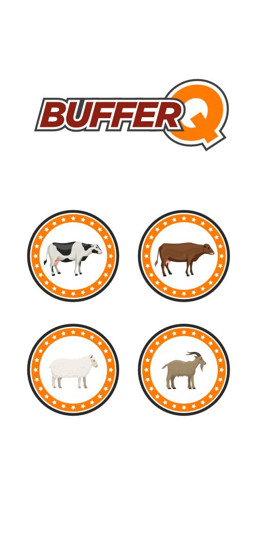 BufferQ