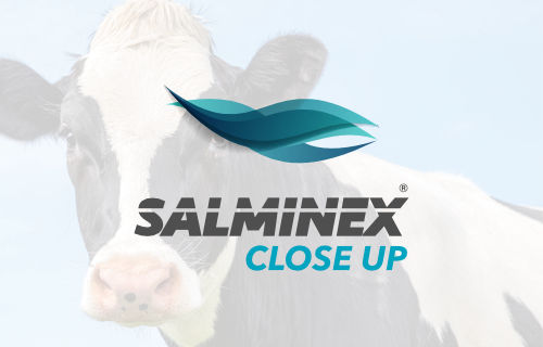 Salminex CloseUp