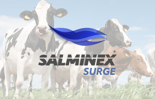 Salminex Surge