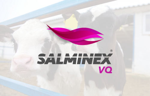 Salminex VQ