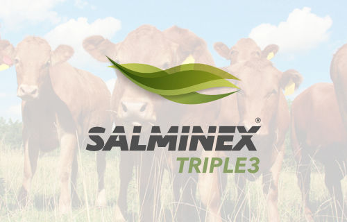 Salminex Triple3